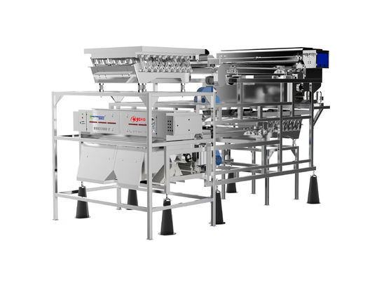 kwaliteit  Customized Fruit Sorting Machine Belt Type 1.0-1.5T/H Blueberry Color Sorter fabriek