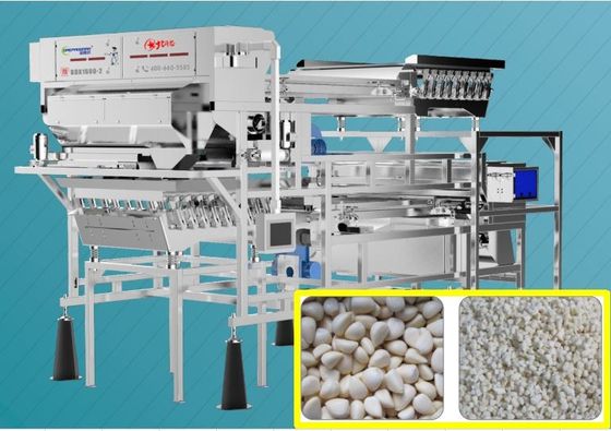 Van de de Kleurensorteerder van het riem de Type Bevroren Knoflook van de Verwijderingskorrels Intelligente Sorteermachine 220V