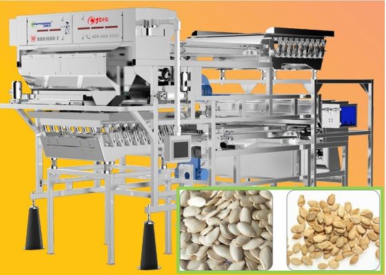 Pompoenzaad/van de Notenkleur Sorteerdersmachine 99,9% Nauwkeurigheid 220V 50Hz met SMC-Filter
